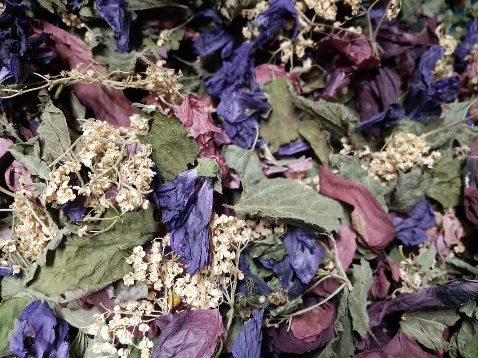 Joueuse d'Arômes Tisane TOUT'DOUX