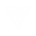 GY Logo white.png