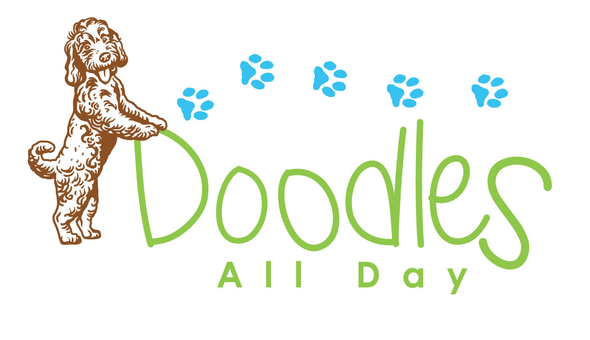 Doodling all day goldendoodles sale