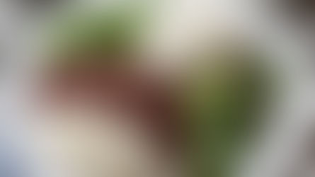 ¿Es la gastronomía dominicana una herramienta eficaz para la promoción turística?