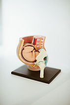 Woman at antenatal classes