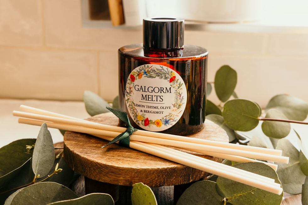 Natural Fibre Reed Diffuser Refill Set