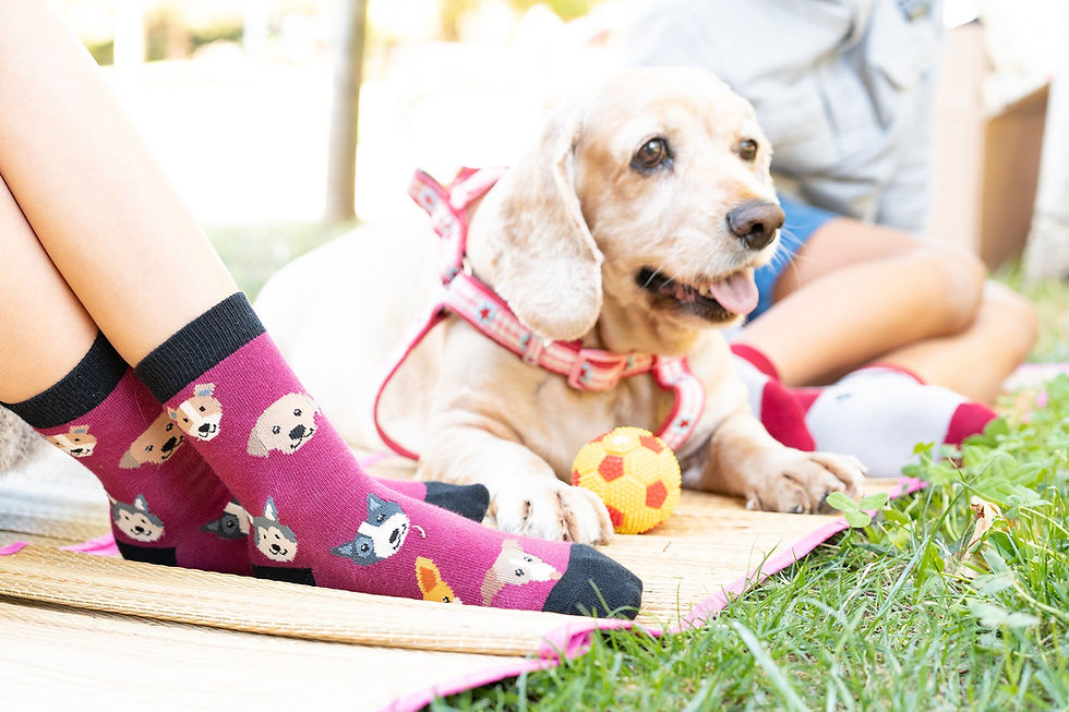 Thumbnail: Kids Cute Dogs Socks 5-Pack