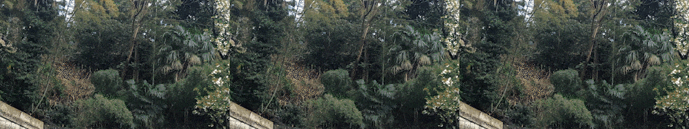 3 Channel-min.gif