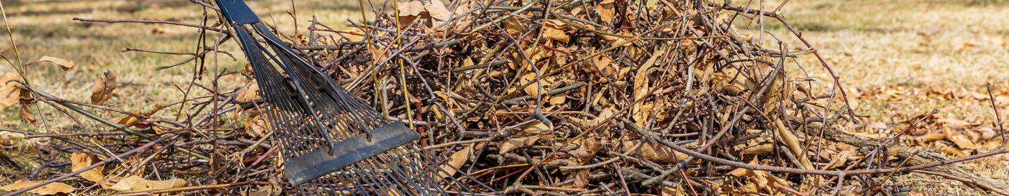 Stick Pickup AdobeStock_419952393.jpeg