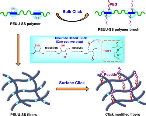 Click Modifiable Elastomers.jpeg