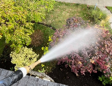 Photo of company owner, Shawn Bailey, watering plants