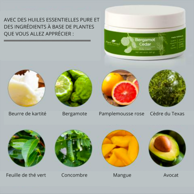 Miniature : Crème pour le corps - Bergamote cèdre - Plant Therapy  - 227 g
