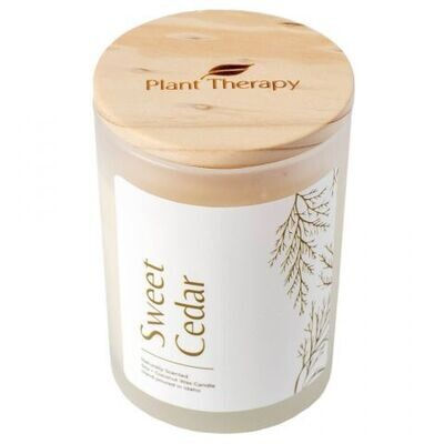 Miniature : Bougie parfumée naturelle - cèdre sucré - Plant Therapy - 227 g