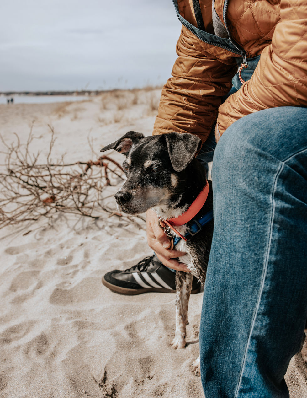 Beach Trips In New England In February Are The Best