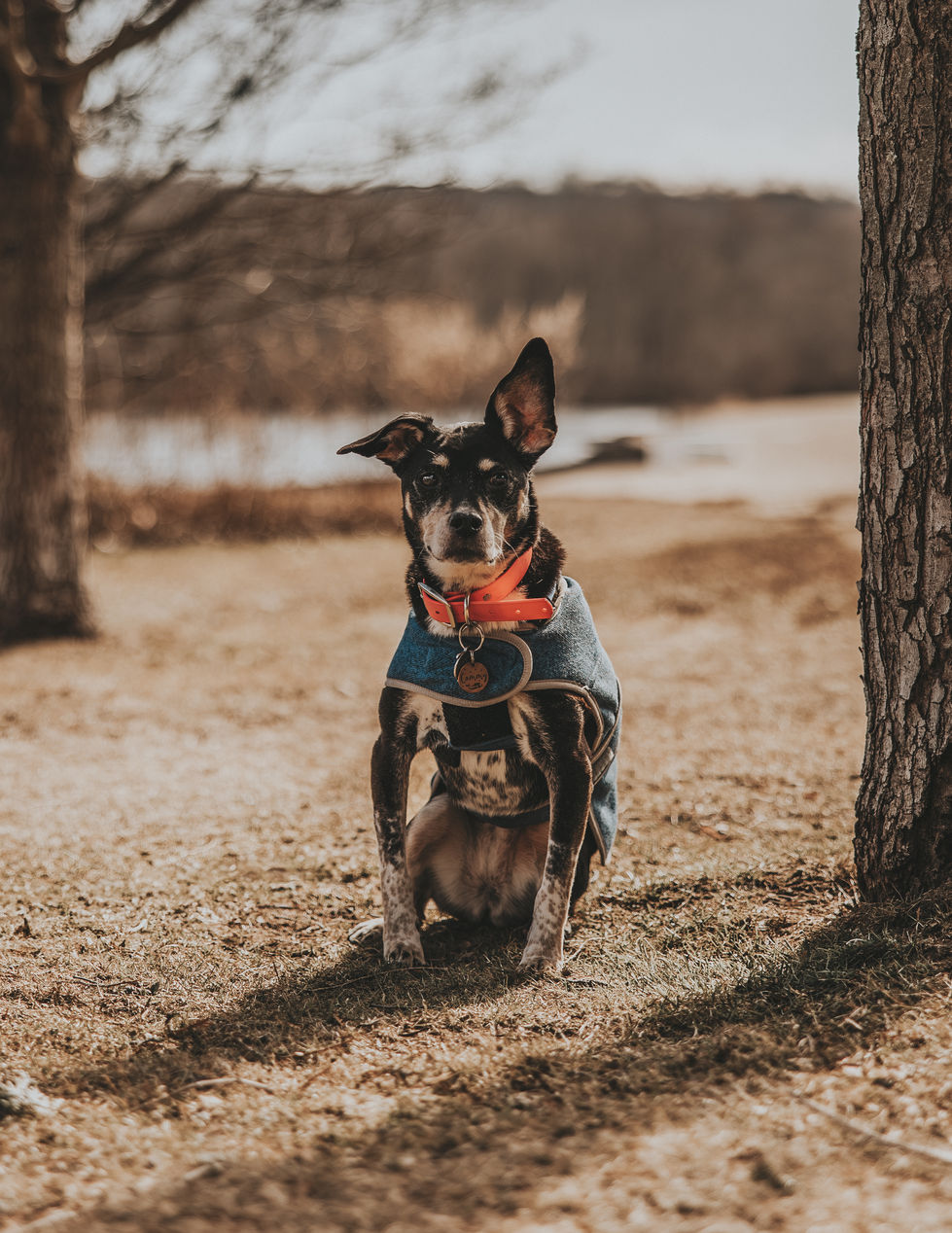 Enjoying Her Favorite Park