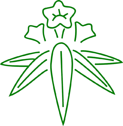 FBY_logo.png