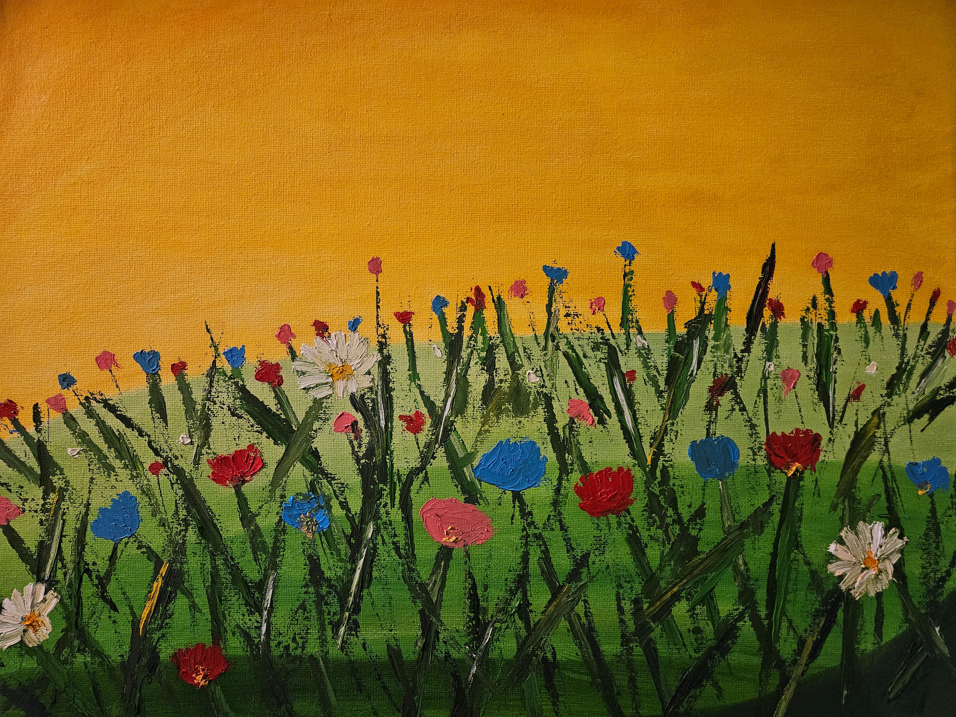 Fields of flowers