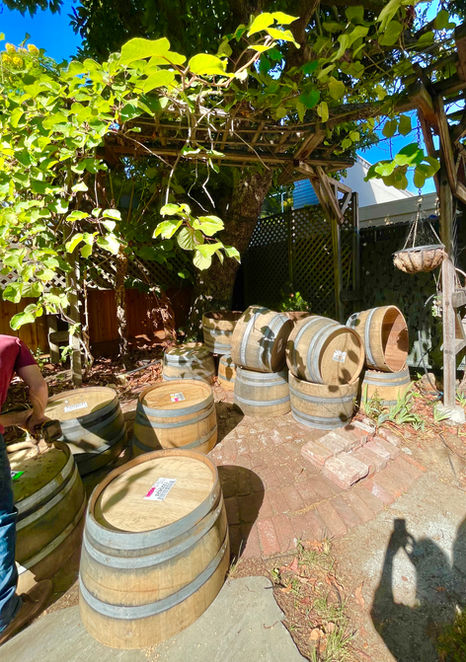 Planters! Planters! Planters!