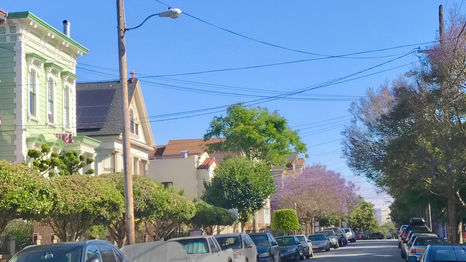 JANUARY 2023 NEWSLETTER