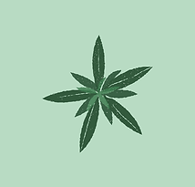 Marijuana Treatment Scottsdale | The Summit Sanctuary