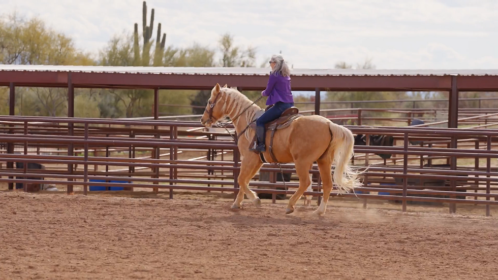 Equine Therapy at The Summit Sanctuary