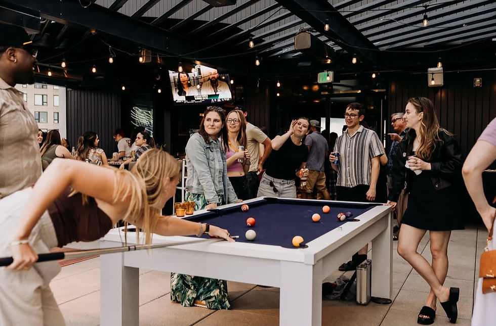 Rook Rooftop Singles Party at CatBird Hotel!