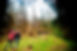 cavan-burren-walking.jpg