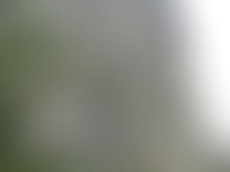 The Historic Dovecote of Athelhampton House & Garden