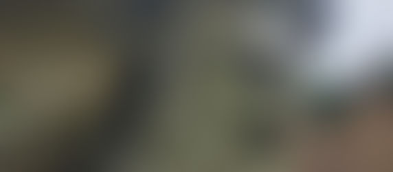 A close up of the cleaned fountain, with the satyr's carved face at a 3/4 angle. He has wild hair, pointed ears, and a pair of horns.