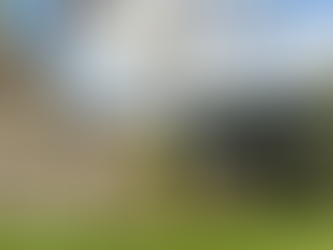 37 Days until Spring arrives in Dorset