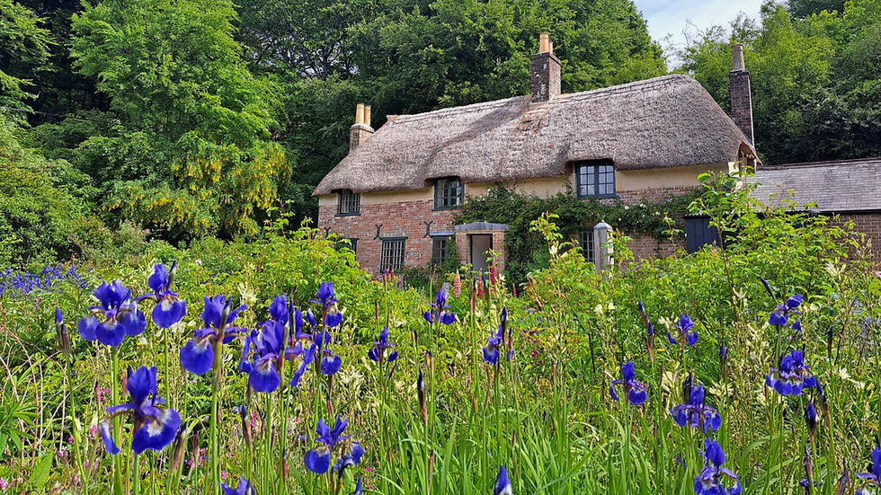 Peace and Tranquillity at Hardy's Cottage and Athelhampton House & Gardens