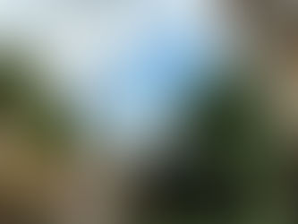 Sculpting Historic Topiary at Athelhampton House and Gardens