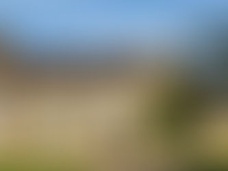 Technology and Tradition in a Tudor Garden