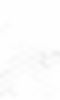 White Hex BG 1.0.jpg