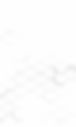 White Hex BG 1.0.jpg