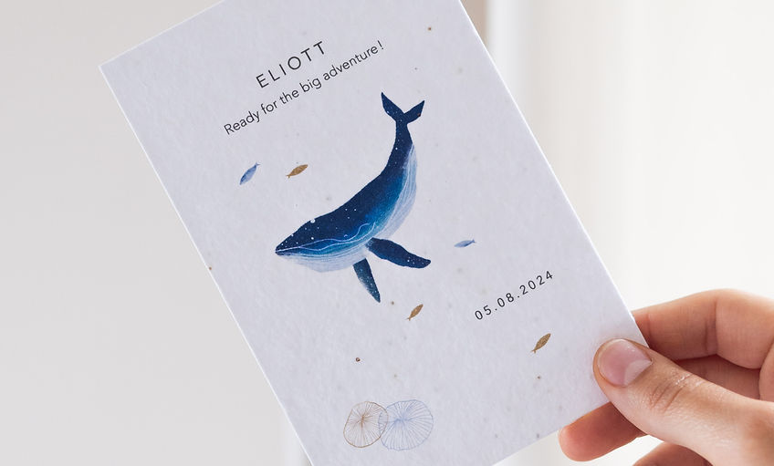 carte culotte carré-28_edited.jpg