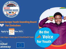 TEAM EUROPE YOUTH SOUNDING BOARD  FOR ZIMBABWE