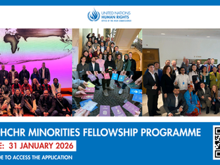 CALL FOR APPLICATION AT THE MINORITIES FELLOWSHIP PROGRAMME (MFP)