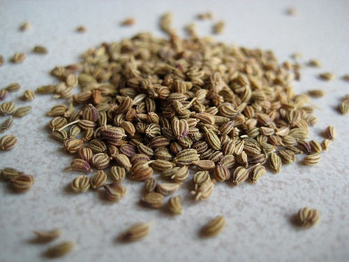 Ajowan Essential Oil