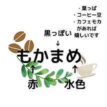スキルクエスト トプ画.png