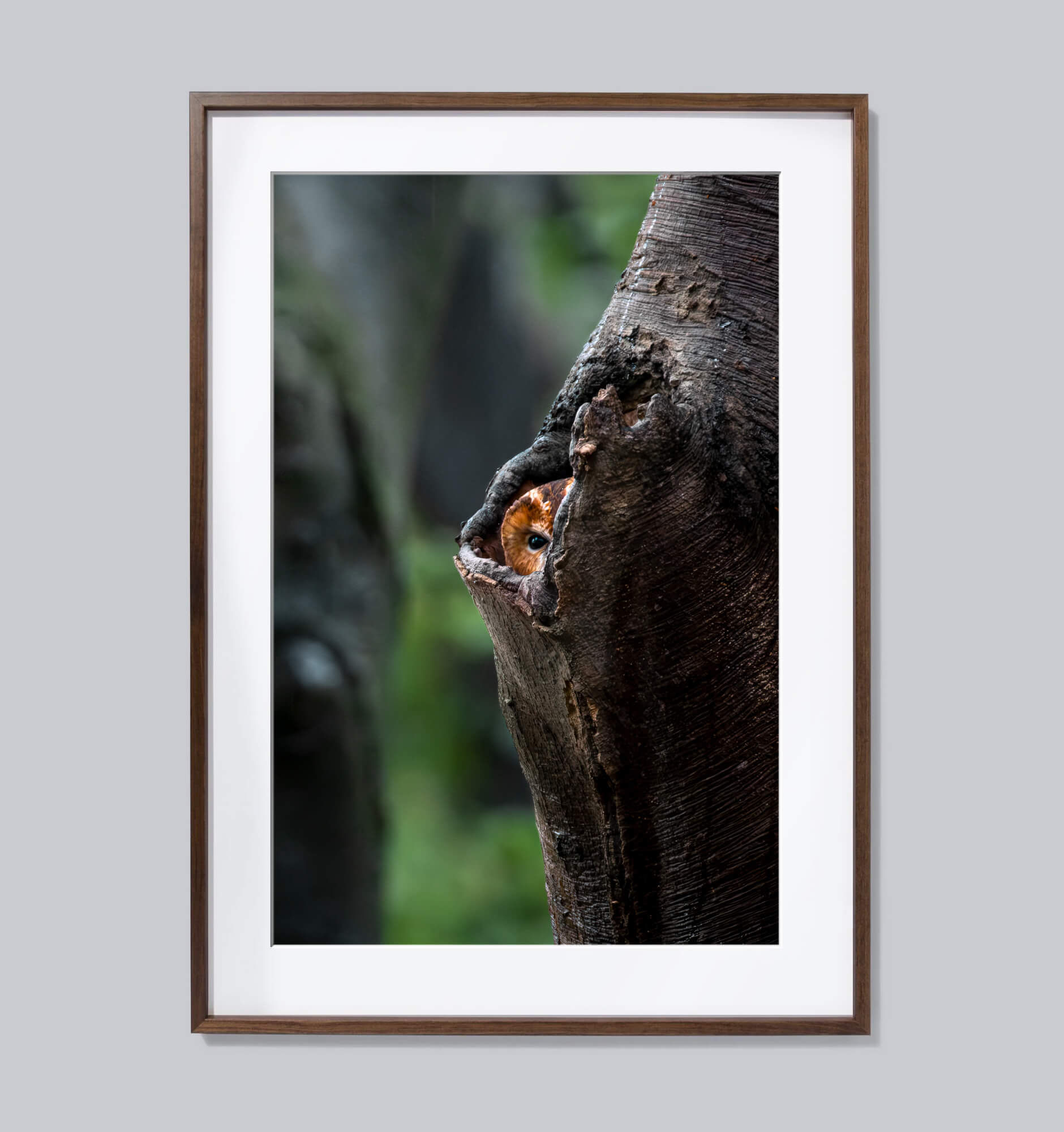 Een oogje in het zeil houden (50×70 cm)