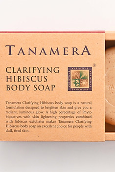 TN02-R008 Clarifying Hibiscus Body Soap.jpg