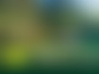 The Masters Tournament Unveiled: Exploring Tradition, Exclusivity, and Golf Marketing Dynamics