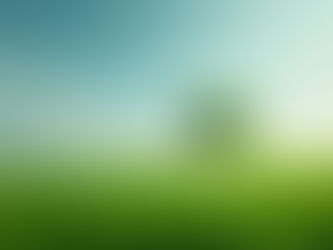 Unveiling the Power of Privacy in Digital Marketing Strategies