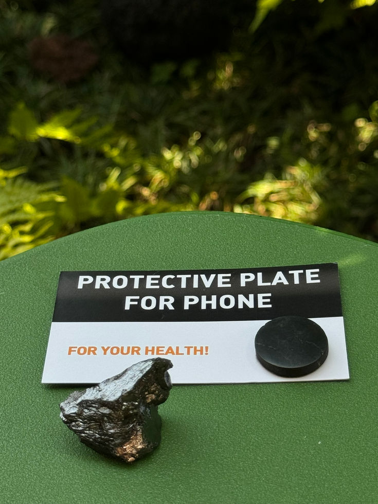 Shungite elite pietra e piastrina per cellulare
