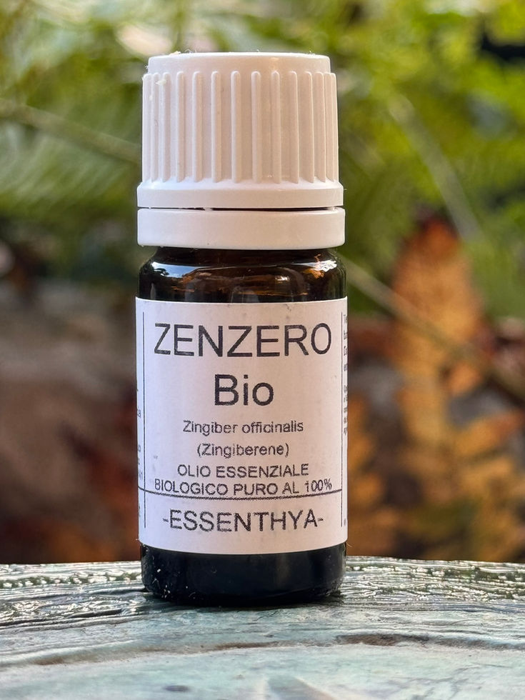 Olio Essenziale di Zenzero Bio