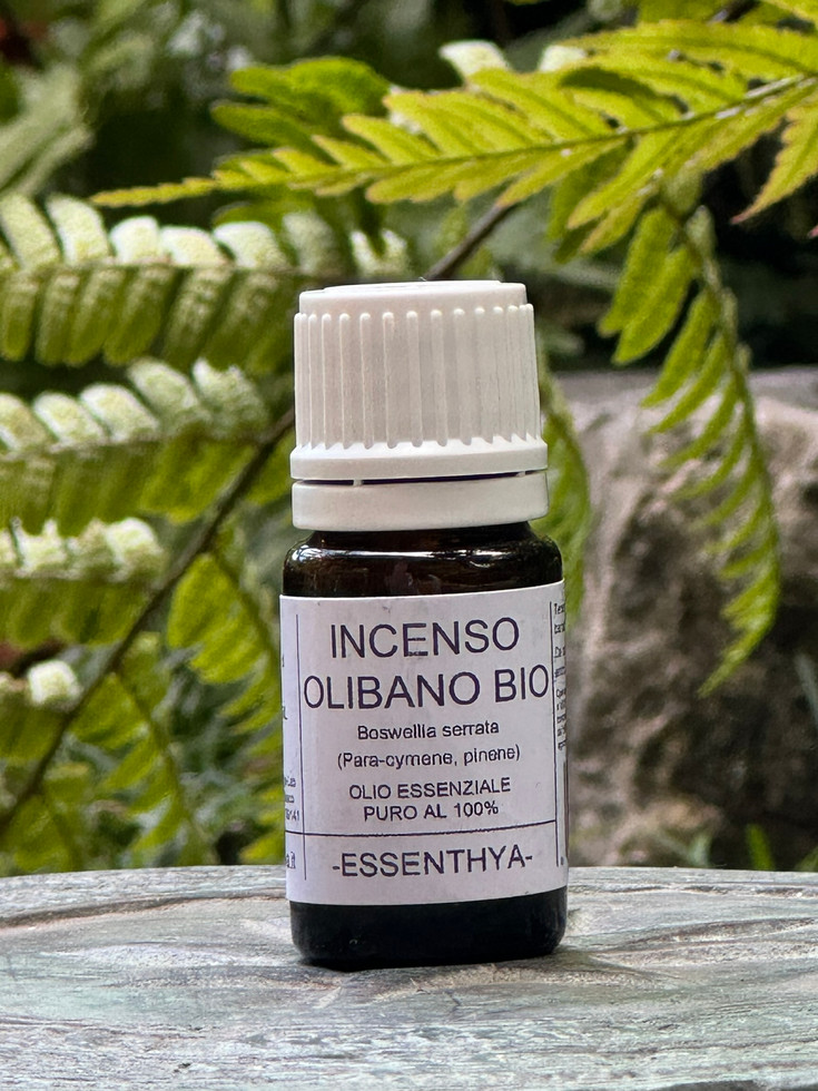 Olio Essenziale di Incenso Olibano Bio