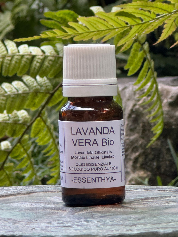 Olio Essenziale di Lavanda Vera Bio