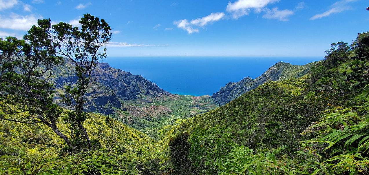 hawaii-6299228.jpg