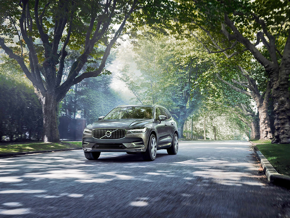 The-new-Volvo-XC60-rijden-tussen-bomen-25-bewerktjpg.jpg