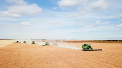 harvest22