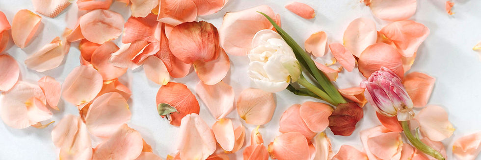 contact page header.jpg