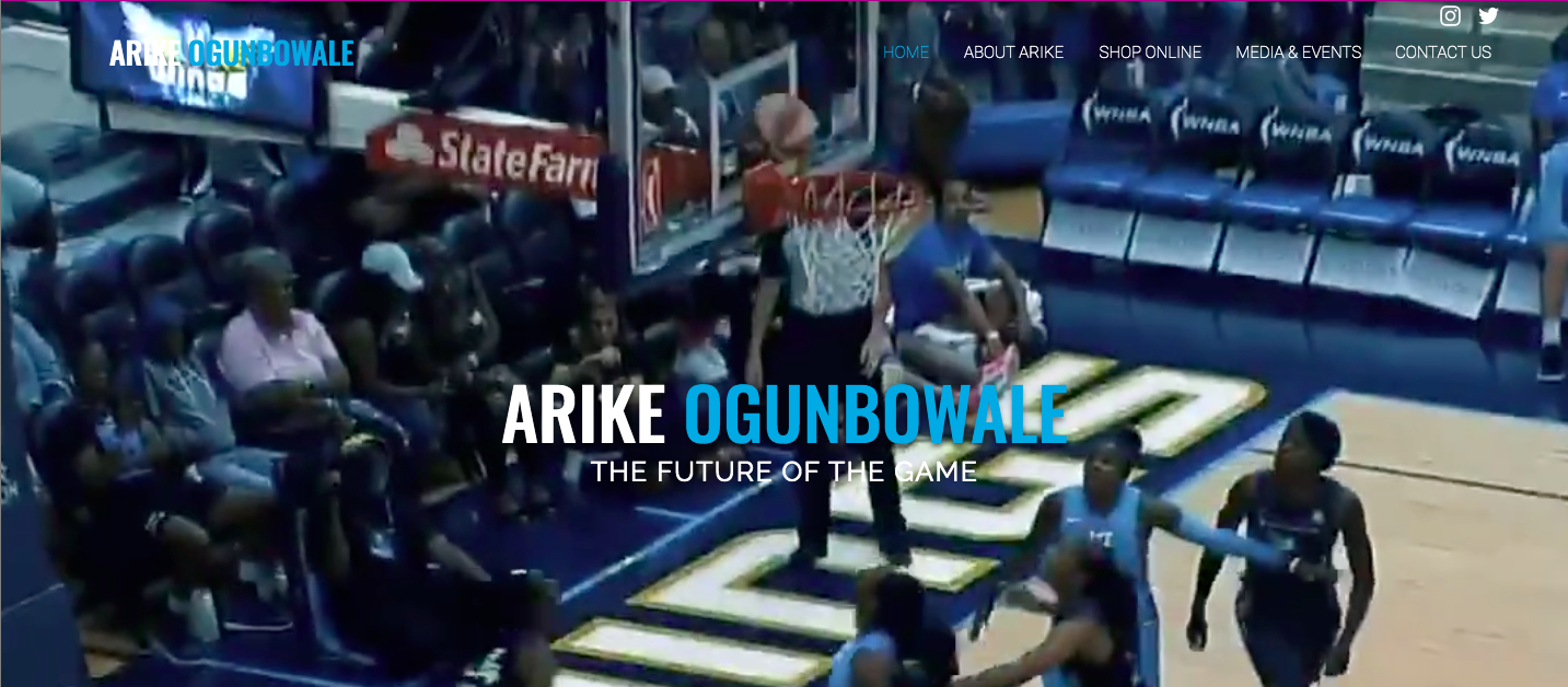 Personal Website - WNBA