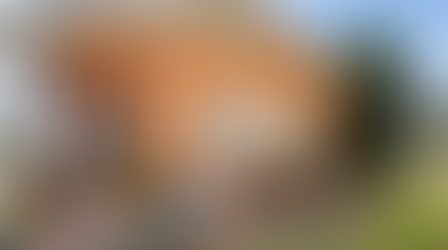 2116 W 107th St, Los Angeles, CA